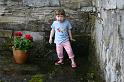 Picture 6972